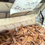 The World’s Costliest Wood: Why Oud Sells for Dh105,000 a Kilo