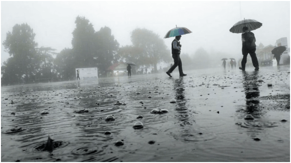 UAE Weather Warning: Dangerous Fog and Intense Thunderstorms Expected.