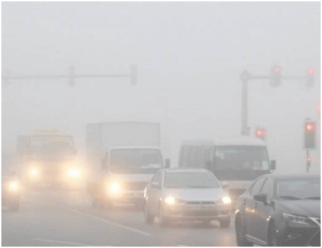 UAE Ensures Public Safety: NCM Issues Fog Alert, Urges Vigilance on Roads