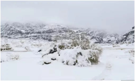 Snowfall in Saudi Arabia Sparks UAE Weather Alert: Gulf Region Braces for an Extraordinary Winter