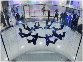 Indoor Skydiving Championship Title Claimed with Exceptional Skill, Tanay 8 Way Team Triumphs at EEIPC 2025